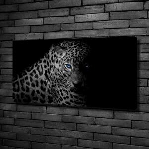 Foto obraz na plátně Leopard oc-89549218