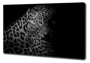 Foto obraz na plátně Leopard oc-89549218