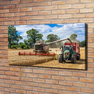 Foto obraz na plátně Kombajn a traktor oc-89579937
