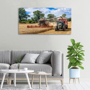 Foto obraz na plátně Kombajn a traktor oc-89579937