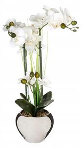 Orchidej v bílém květináči 56 cm, ozdoba, dekorace
