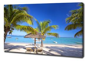 Foto obraz na plátně do obýváku Pláž Mauritius oc-89713117