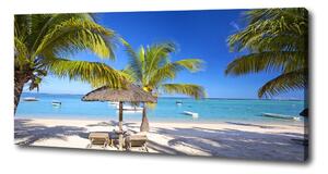 Foto obraz na plátně do obýváku Pláž Mauritius oc-89713117