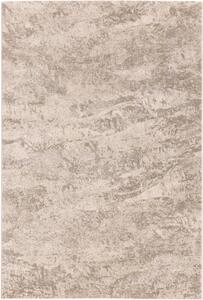 Koberec Ragolle Argentum 63986 6575