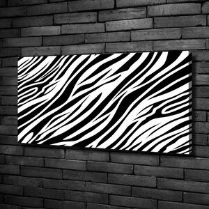Foto obraz canvas Zebra pozadí oc-89914611