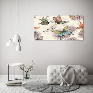 Foto obraz skleněný horizontální Motýli a květiny osh-90122536