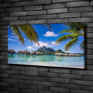 Foto obraz canvas Palmy na Bora Bora oc-90274909