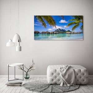 Foto obraz sklo tvrzené Palmy na Bora Bora osh-90274909