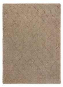 Koberec DUNE WOOL 497 06 TM620 hnědý