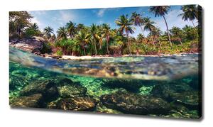 Foto obraz na plátně Tropická pláž oc-90407162