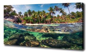 Foto obraz na plátně Tropická pláž oc-90407162