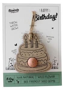 Semínka divokých květin BDay Cake / Happy Birthday + pohlednice