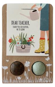 Sada semínek divokých květin Watering / Dear Teacher - 2 ks