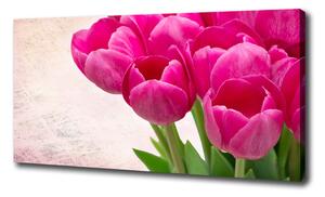 Moderní obraz canvas na rámu Růžové tulipány oc-90952565