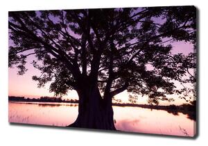 Moderní obraz canvas na rámu Stromy a jezero oc-90878216