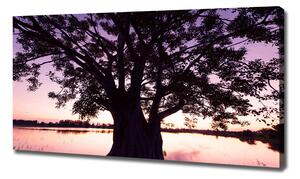 Moderní obraz canvas na rámu Stromy a jezero oc-90878216