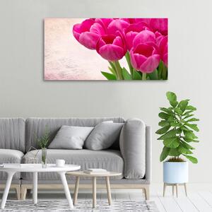 Moderní obraz canvas na rámu Růžové tulipány oc-90952565
