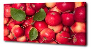Foto obraz canvas Červené jablko oc-91288454