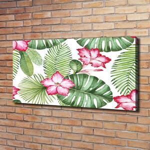 Moderní fotoobraz canvas na rámu Tropický ostrov oc-91379630