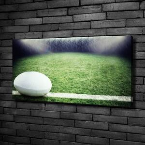 Foto obraz na plátně Míč do rugby oc-91666550