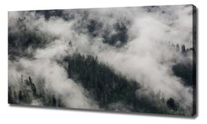Foto obraz na plátně do obýváku Mlha nad lesem oc-92103415