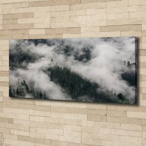 Foto obraz na plátně do obýváku Mlha nad lesem oc-92103415