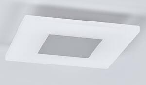 Tarja - hranaté LED stropní světlo