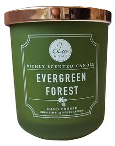 DW HOME Evergreen Forest Vonná svíčka ve skle, 269 g