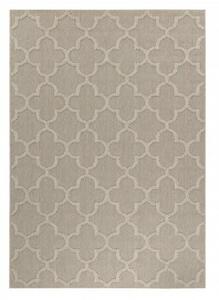 Vopi | Kusový koberec Patara 4951 beige - 240 x 330 cm