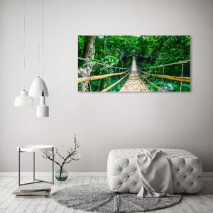 Foto obraz na plátně Most tropický les oc-94521444