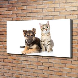 Foto obraz na plátně Pes a kočka oc-94452483