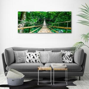 Foto obraz na plátně Most tropický les oc-94521444