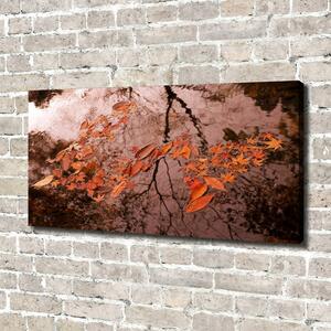 Moderní fotoobraz canvas na rámu Listí na vodě oc-94898362