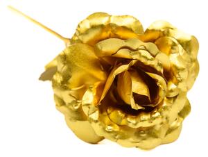 Věčná růže se zlatým stonkem SIF, zlatá