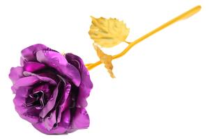 Věčná růže se zlatým stonkem SIF, fialová
