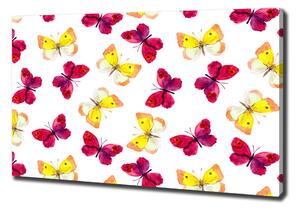 Foto obraz na plátně Motýli a květiny oc-96038679