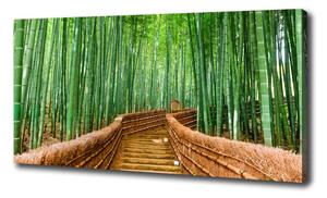 Moderní fotoobraz canvas na rámu Bambusový les oc-97156437