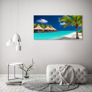 Foto obraz na plátně Maledivy bungalovy oc-97187351
