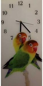 Nástěnné hodiny papoušek 30x60cm XXXIV - plexi