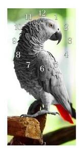 Nástěnné hodiny papoušek 30x60cm XXI - plexi