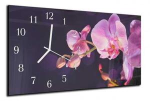 Nástěnné hodiny orchidej 30x60cm XIX - plexi