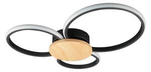 LED Stropní svítidlo SABINA LED/38W/230V kaučukovník