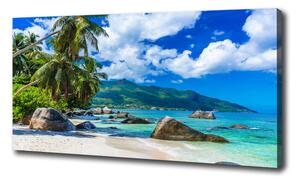 Foto obraz na plátně Seychely pláž oc-98176668