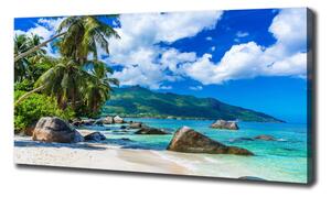 Foto obraz na plátně Seychely pláž oc-98176668