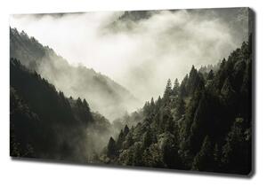 Foto obraz na plátně Mlha nad lesem oc-98626353