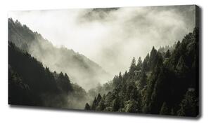 Foto obraz na plátně Mlha nad lesem oc-98626353