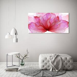 Foto obraz na plátně do obýváku Růžová květina oc-98648030