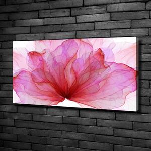 Foto obraz na plátně do obýváku Růžová květina oc-98648030
