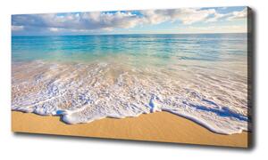 Foto obraz na plátně Havajská pláž oc-98746021