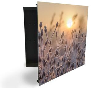 Glasdekor skříňka na klíče - zmrzlá tráva v ranním slunci - Levé / Černá